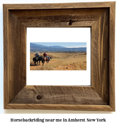 horseback riding near me in Amherst, New York